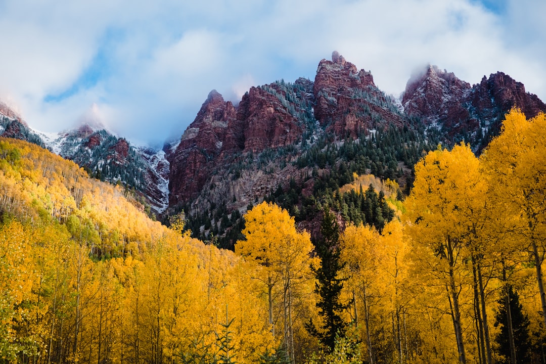 yellow and green trees near brown mountain under white clouds during daytime