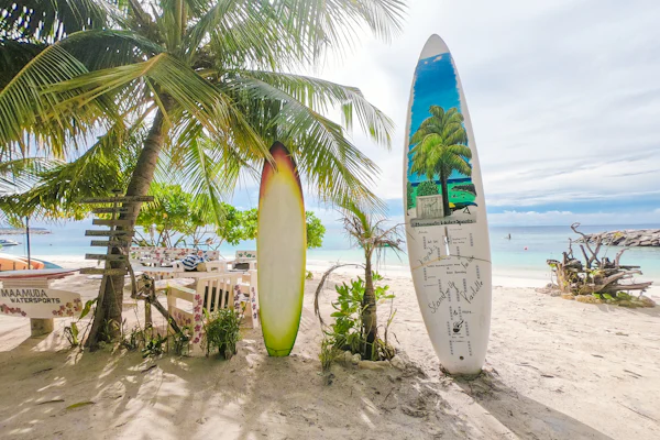Pranchas encostadas em coqueiros na areia da praia