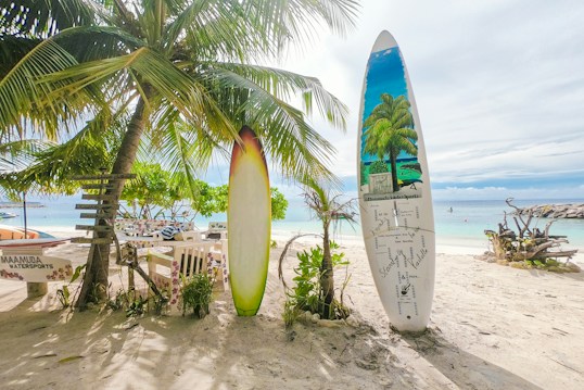A tropical beach scene featuring two surfboards standing upright in the sand, one with palm tree designs and a map. A large palm tree shades part of the area, accompanied by a wooden sign pointing in different directions. The background shows a calm ocean with a clear blue sky, and a few boats can be seen on the water.