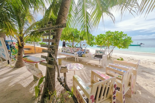 green palm tree near brown wooden chairs and table on beach during daytime in Maafushi Maldives