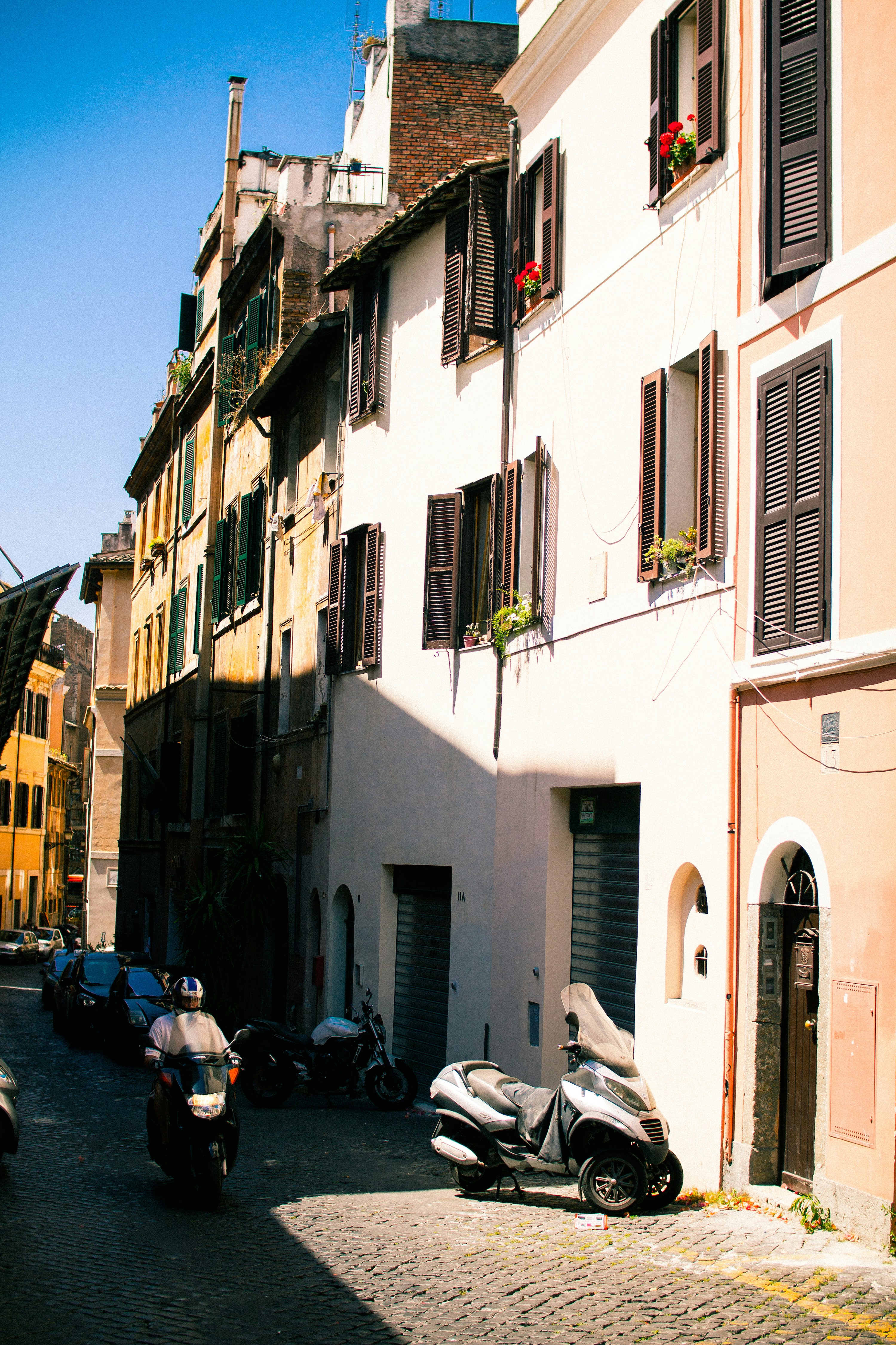 Photo by shelbysmith