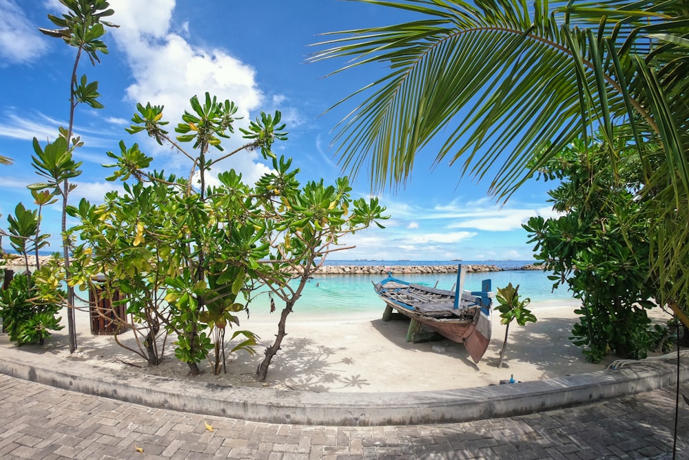 brown wooden boat on beach during daytime