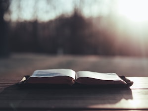 A serene landscape with a sunrise illuminating an open Bible on a wooden table.
