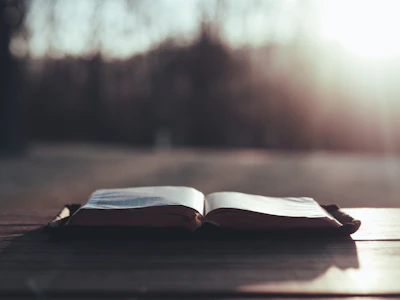 A peaceful scene of an open book resting on a wooden table bathed in warm sunlight.