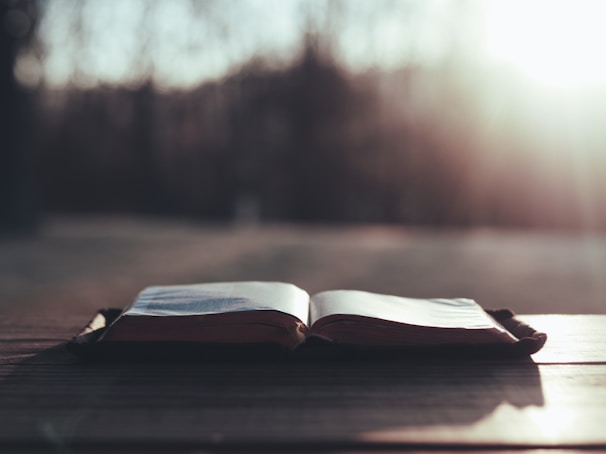 A serene landscape with an open book resting on a wooden table.