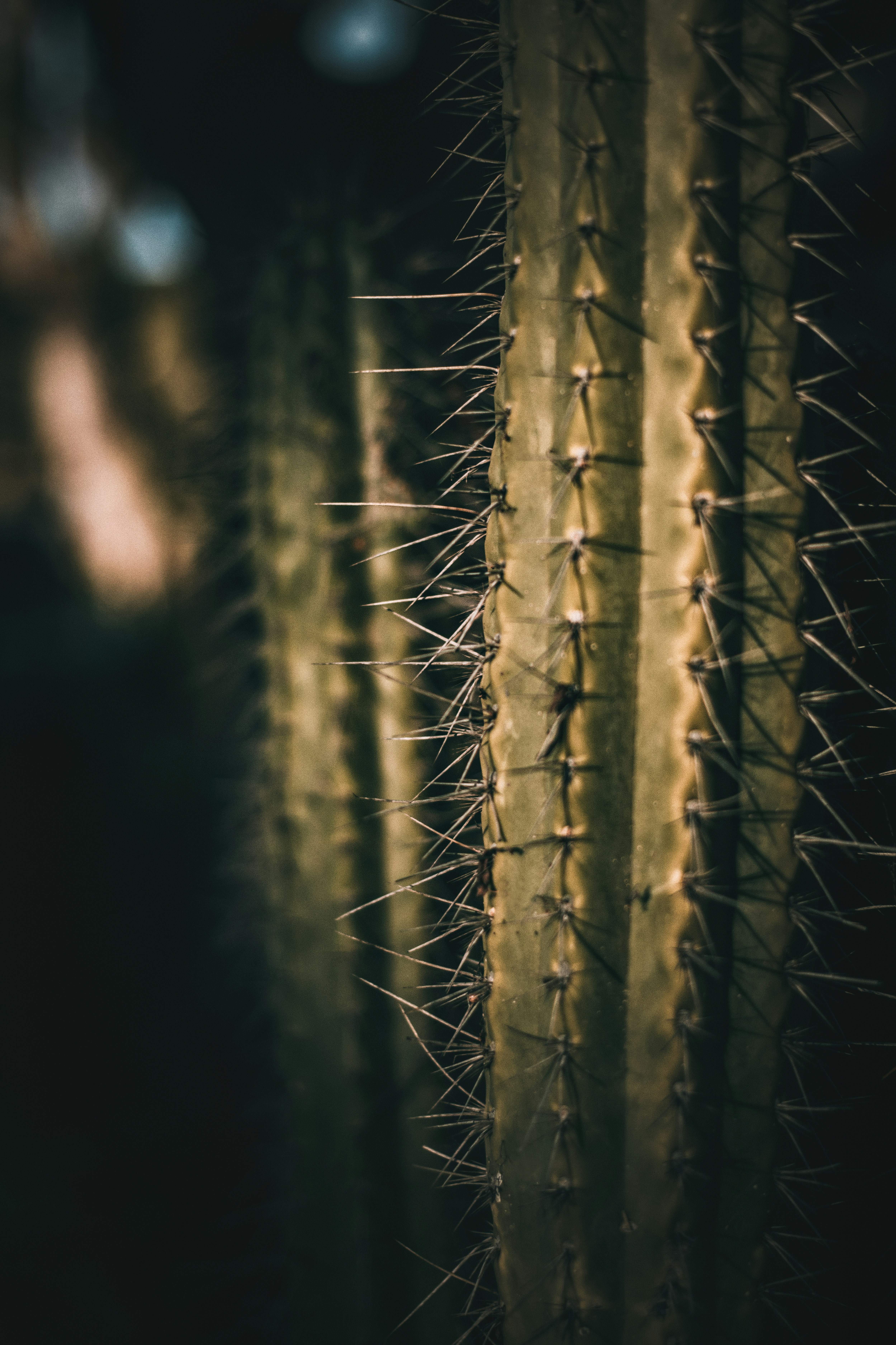 Photo by timmossholder