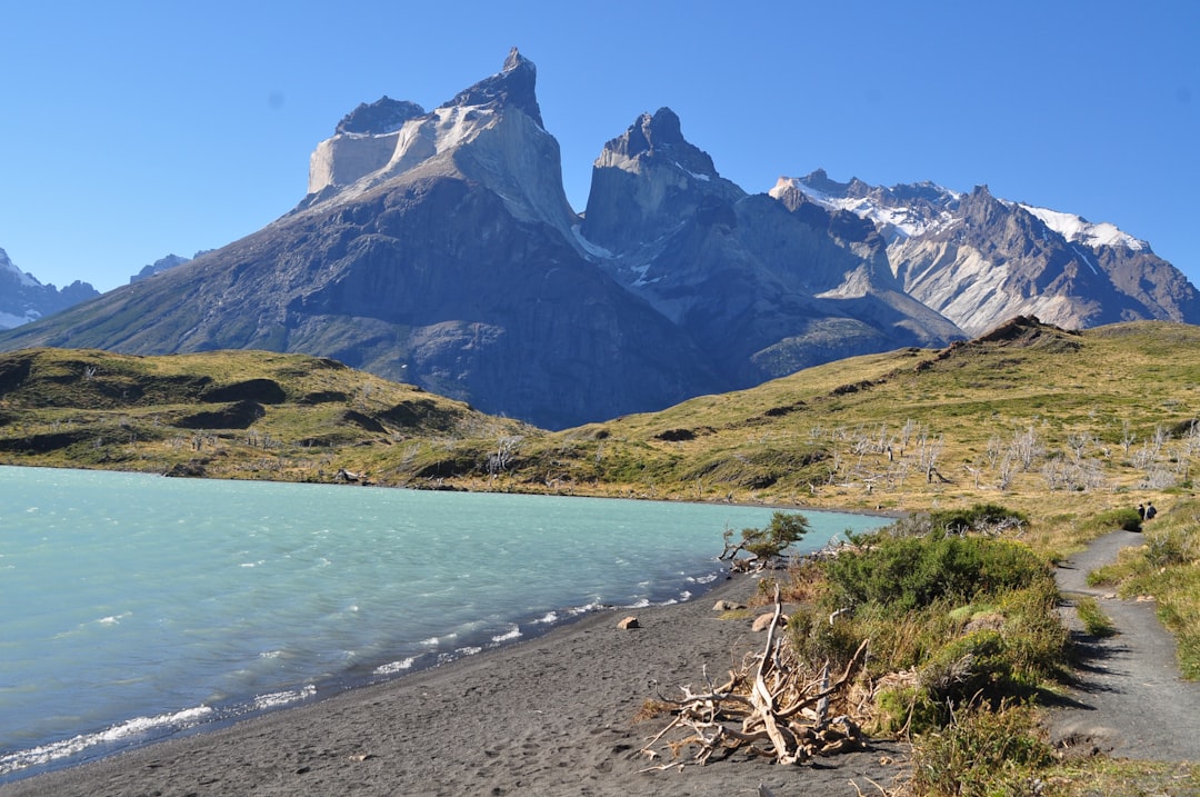 travelers stories about Nature reserve in Torres del Paine, Chile