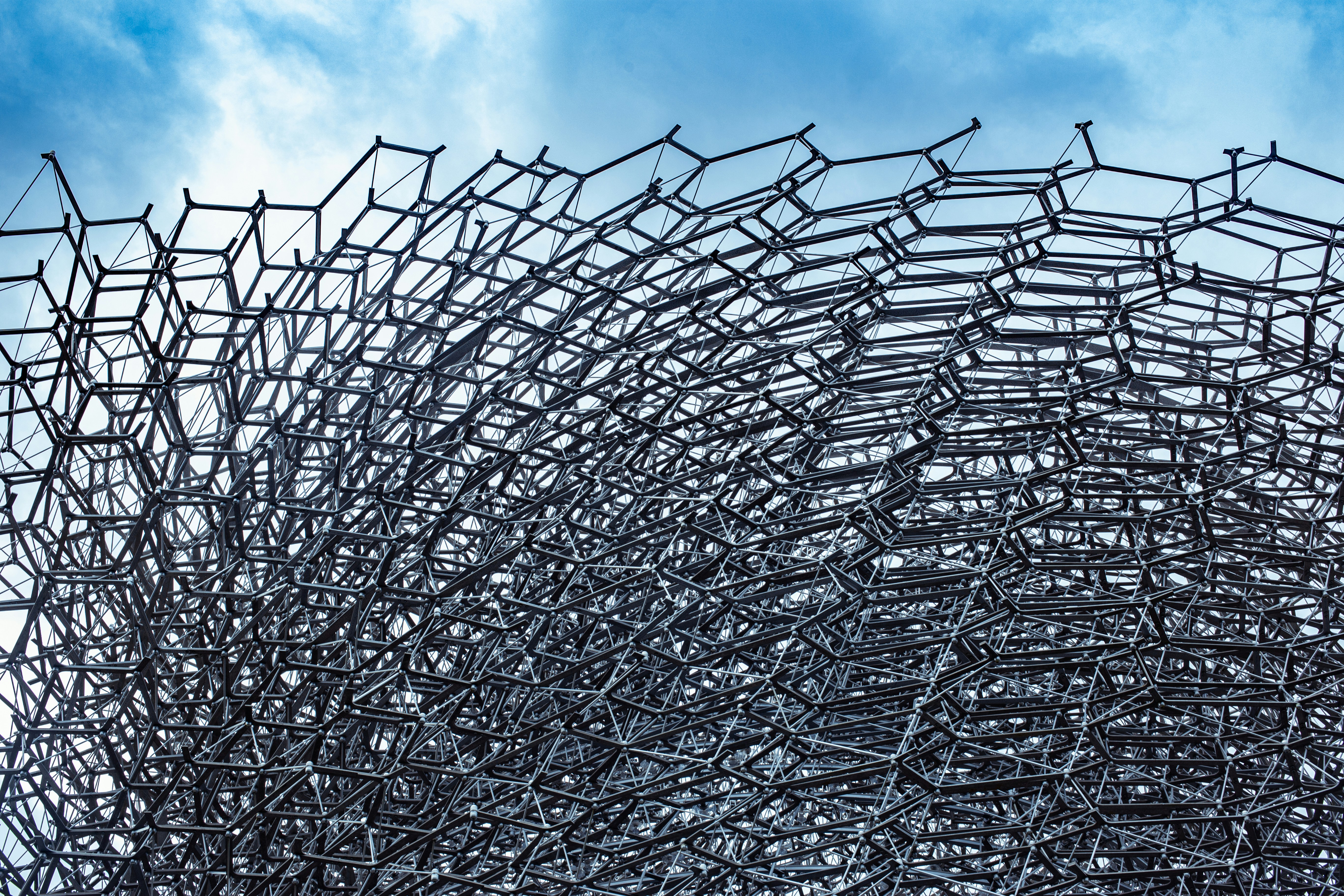 Photo by acoolrocket