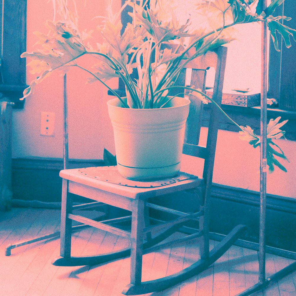 white potted green plant on brown wooden chair