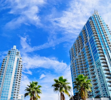 green palm trees near high rise buildings under blue sky during daytime
