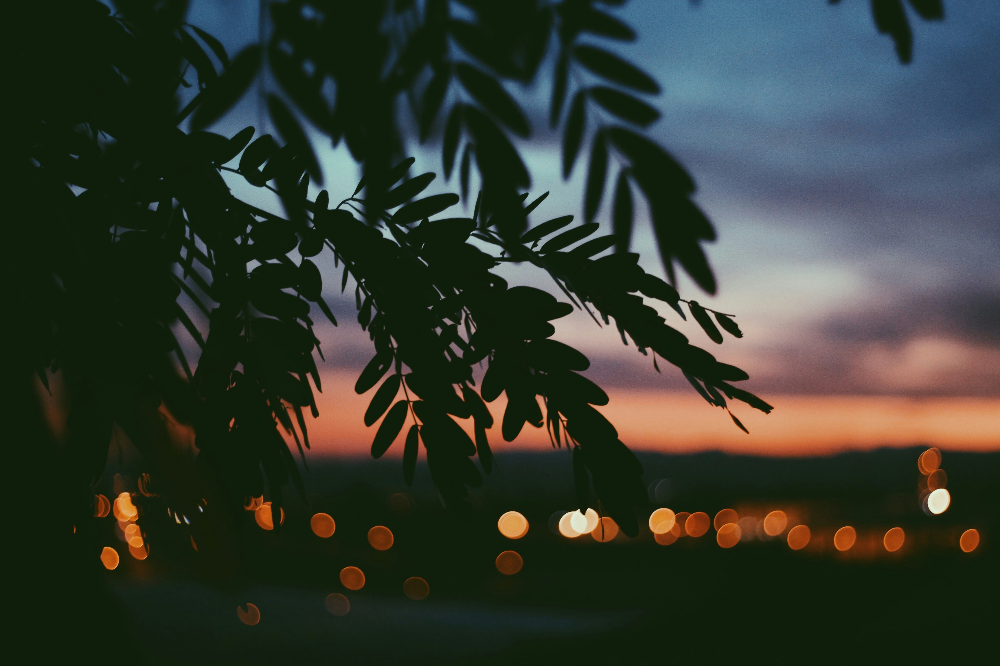 Photo by nathanareboucas