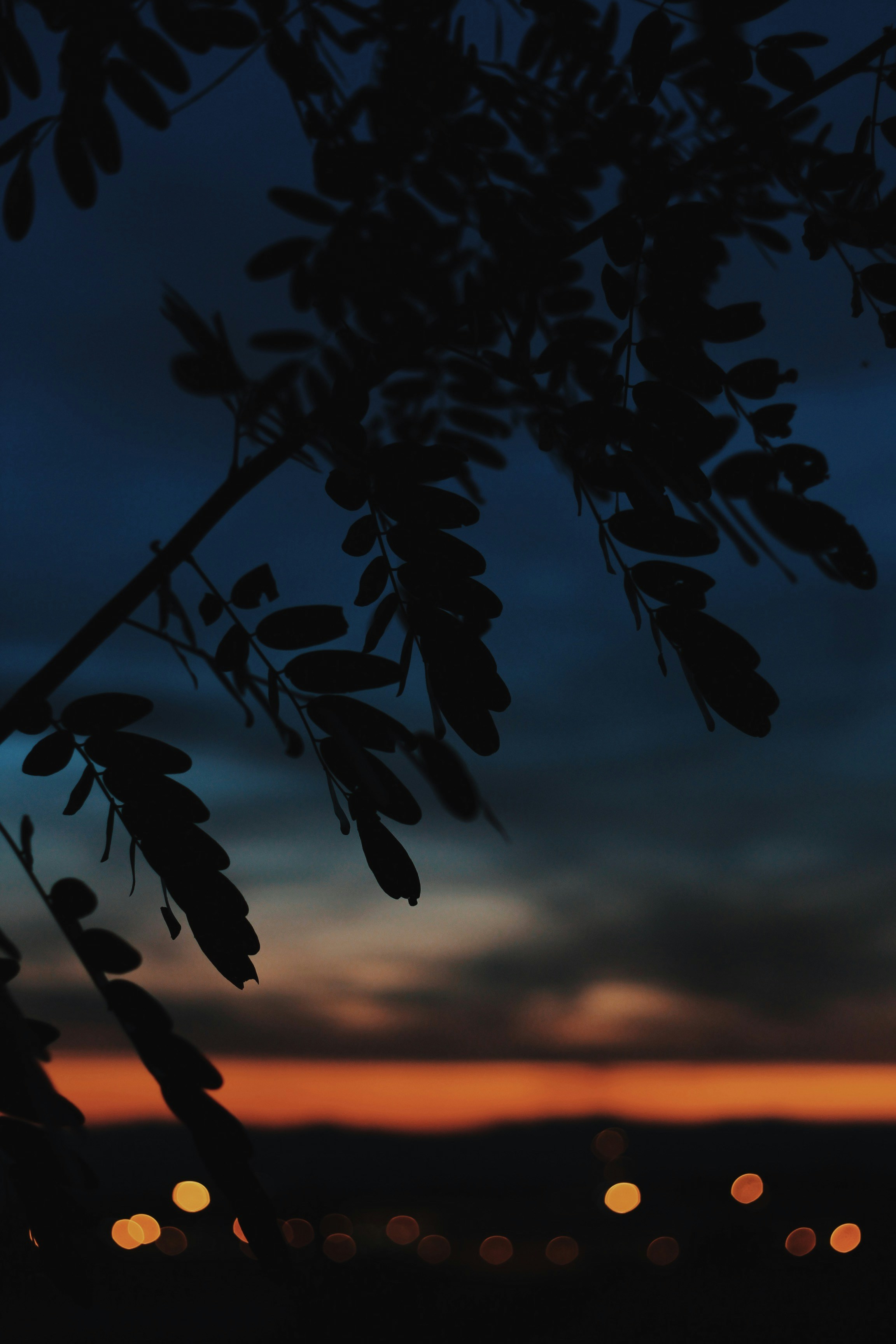 Photo by nathanareboucas