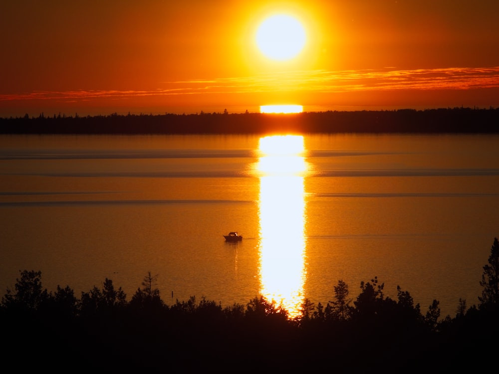 silhouette of trees during sunset