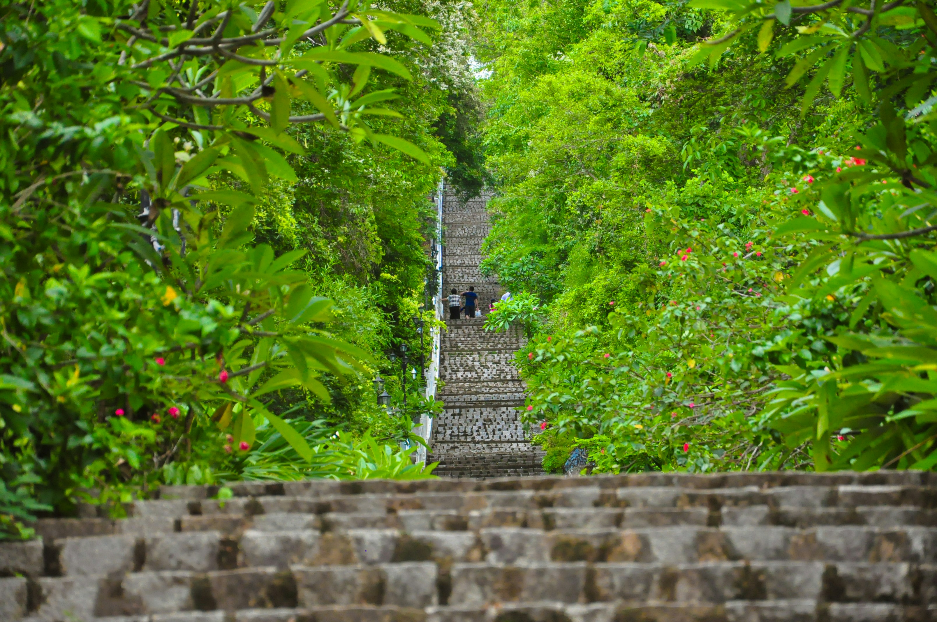 Photo by khoinguyen2020