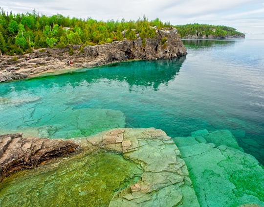 green grass and trees beside blue body of water during daytime in Bruce Peninsula National Park Canada