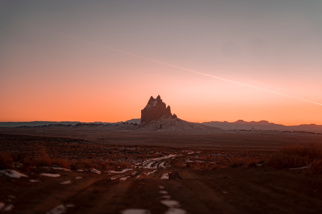 brown sand field during sunset