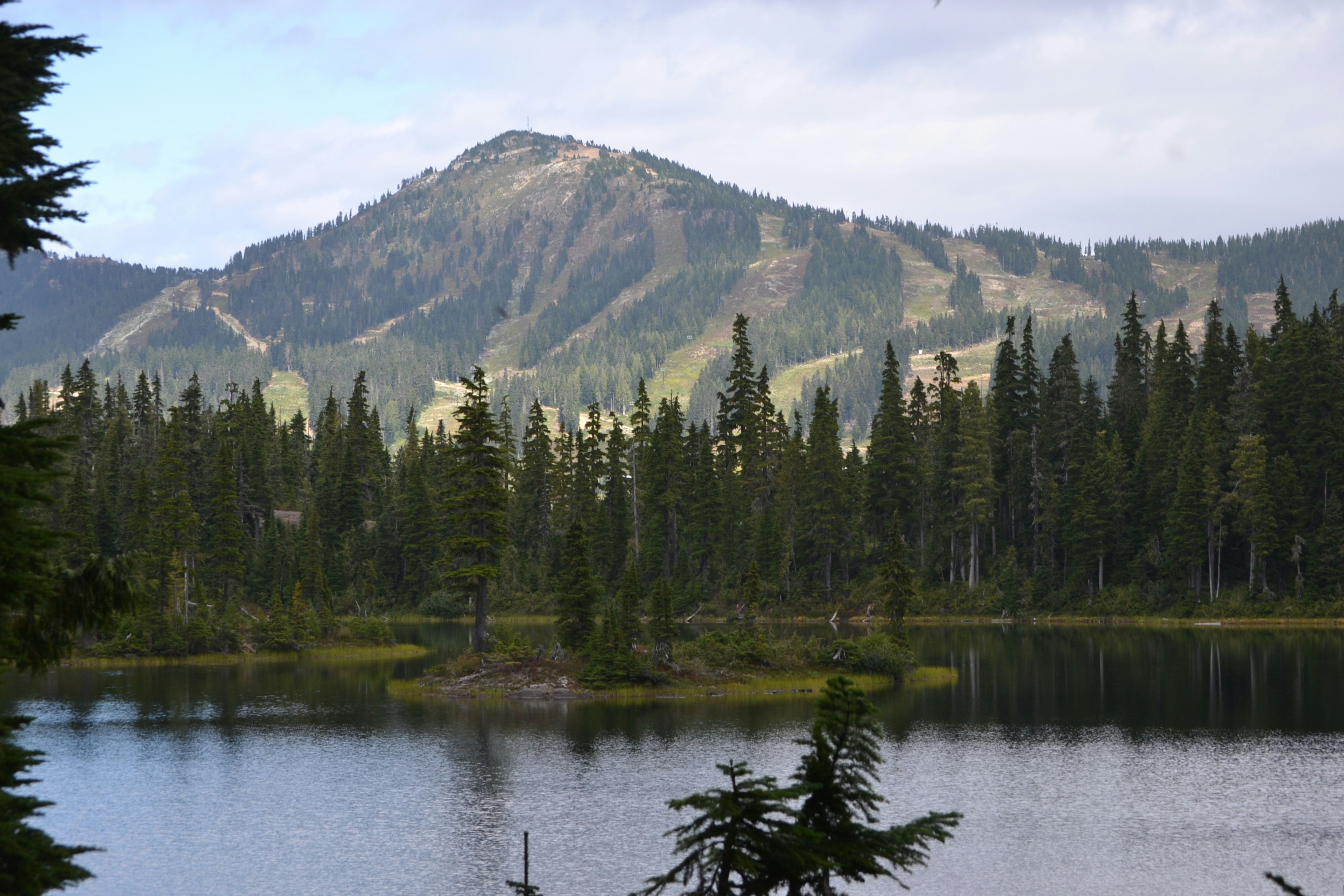 Photo by colefreeman