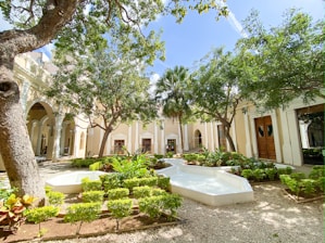 A serene courtyard space with lush greenery and seating.