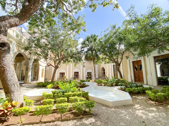 A serene courtyard garden with olive trees and stone pathways in a Greek countryside home.