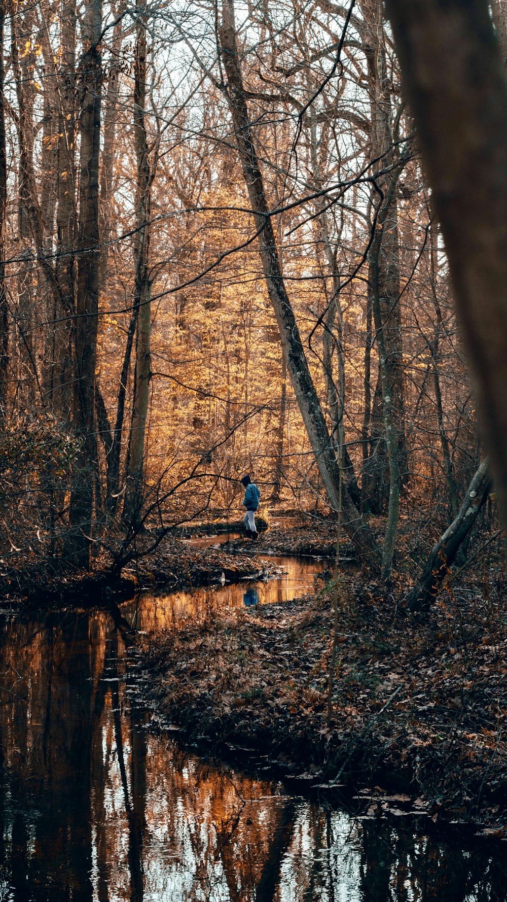uomo in giacca blu e jeans blu denim seduto sul molo di legno marrone vicino al fiume durante
