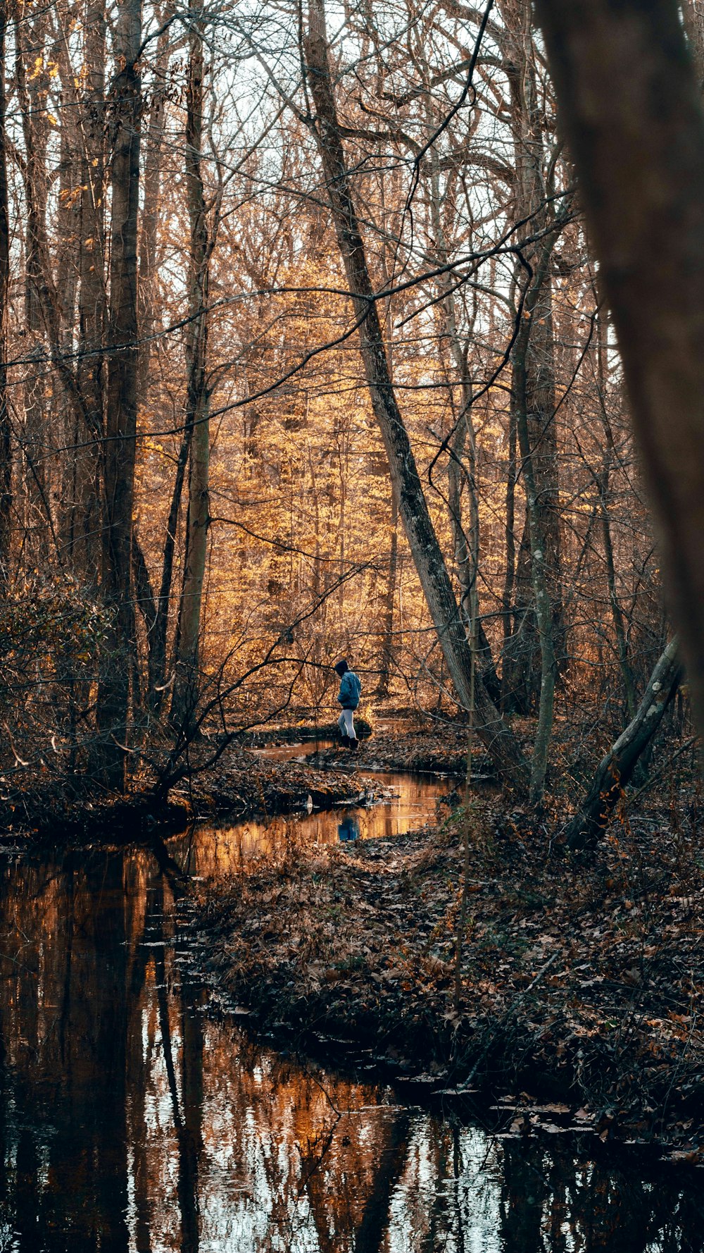 homme en veste bleue et jean bleu assis sur le quai en bois brun près de la rivière pendant