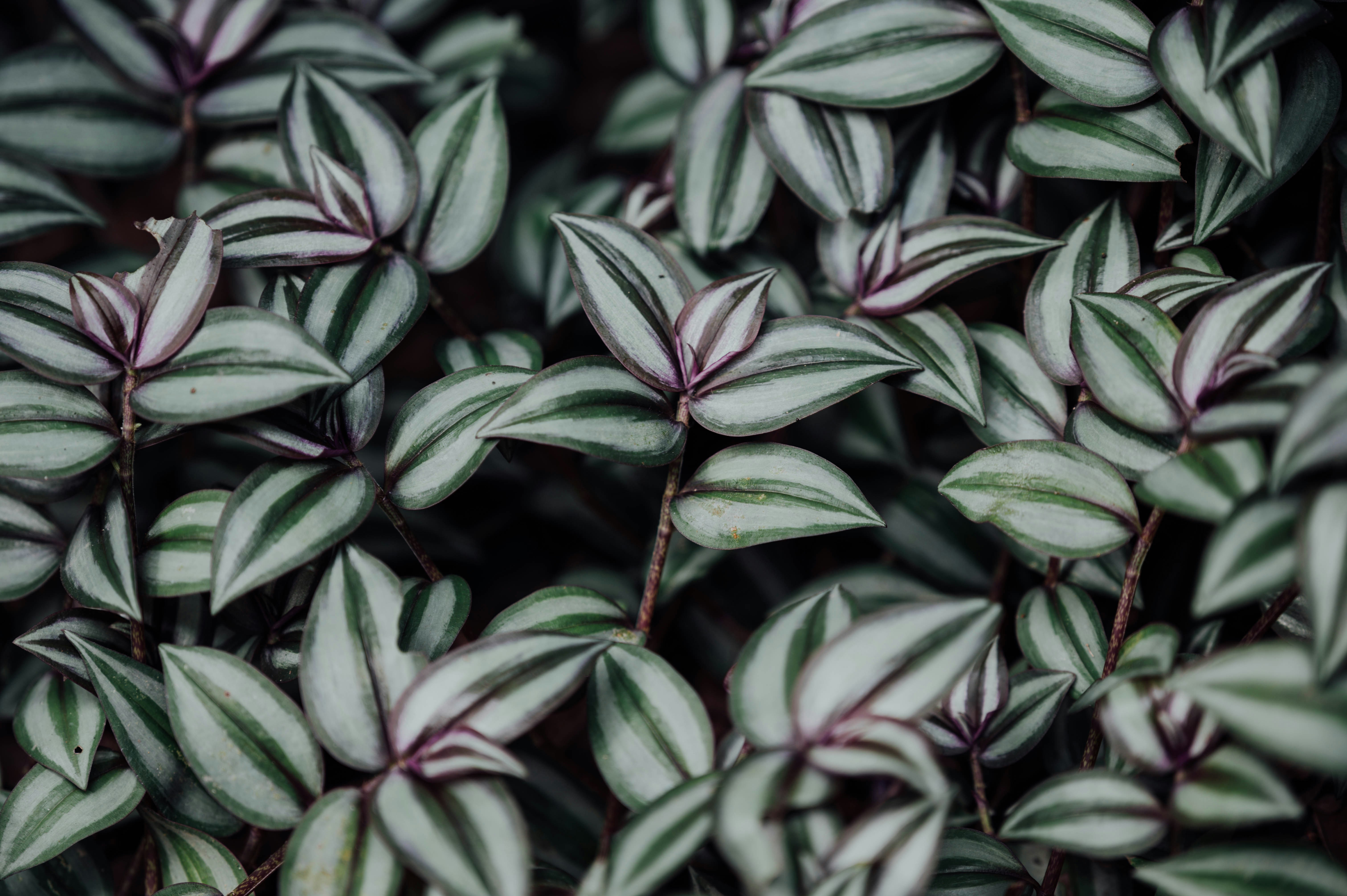 Photo by chuttersnap