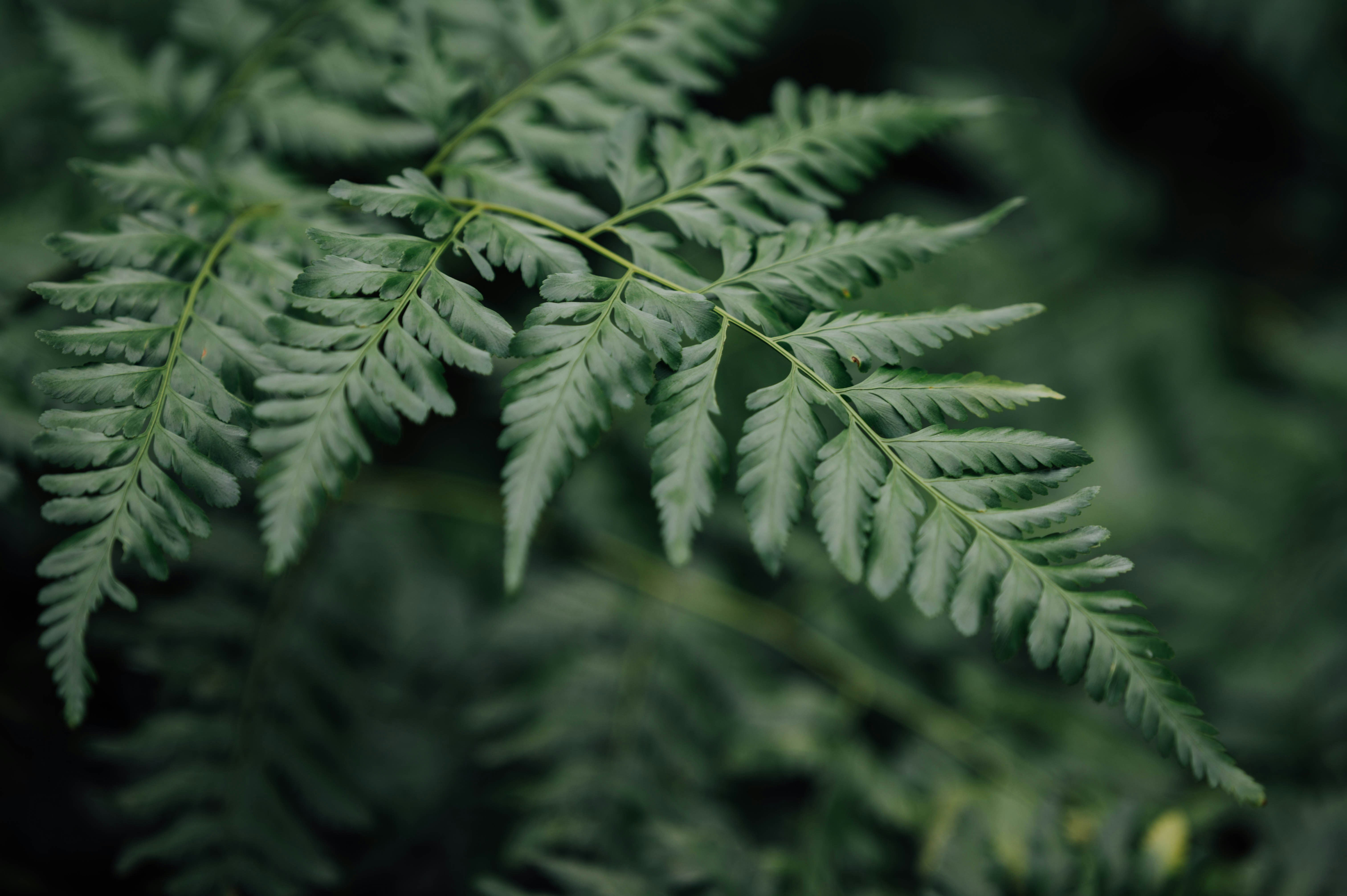 Photo by chuttersnap