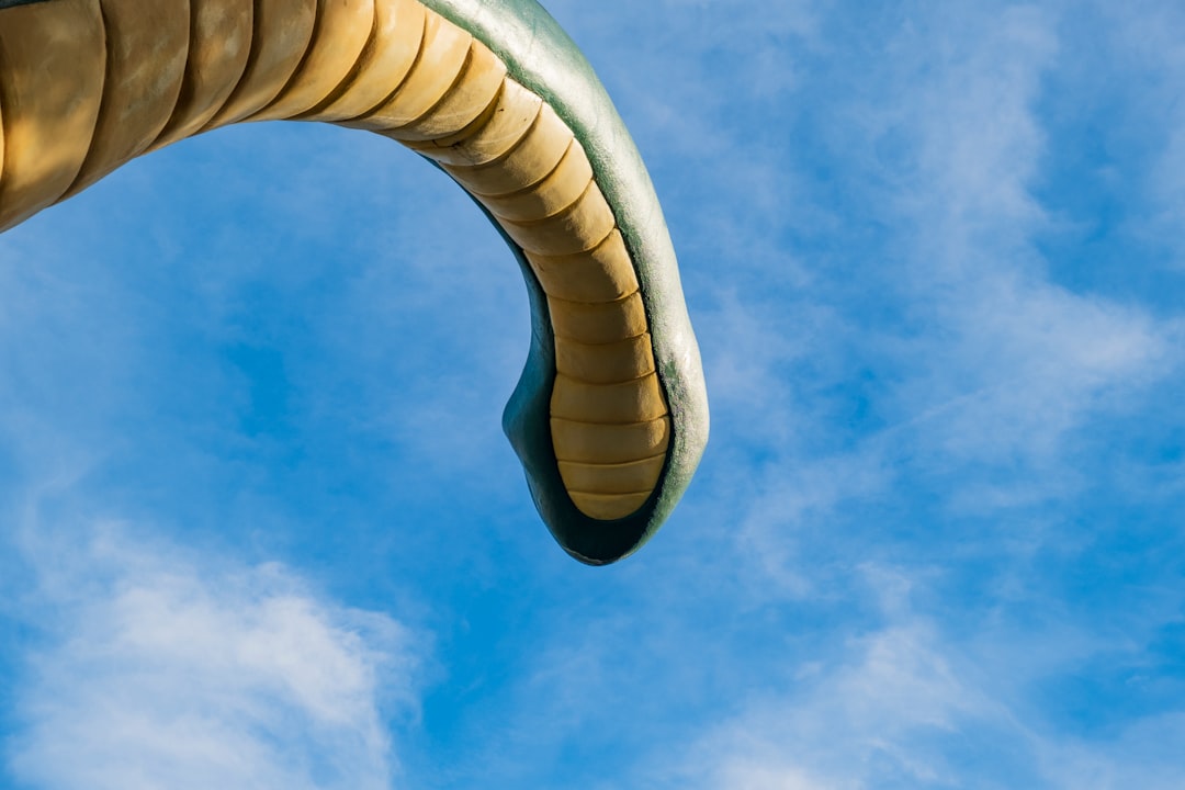 Paragliding photo spot Disney's Animal Kingdom Theme Park United States