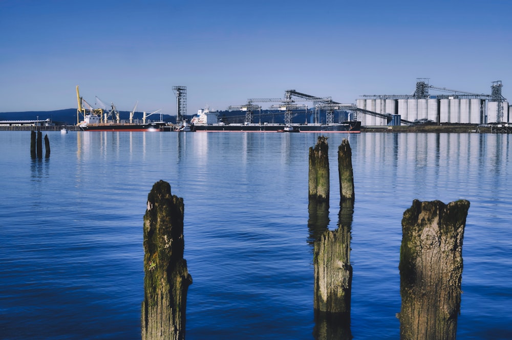 brown wooden post near body of water during daytime