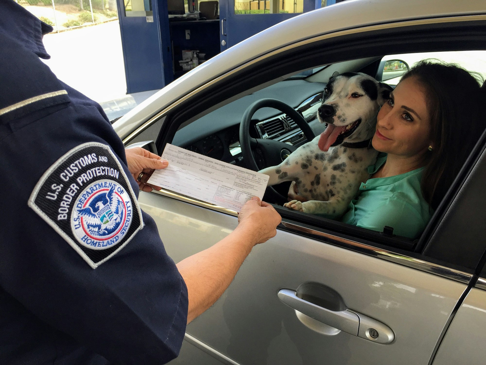 Captured in June 2017, this image depicted a Mexican woman in the process of entering the United States, while in her vehicle. Her dog, also seen in the photograph, a Labrador mix, was accompanying her across the border. She had presented the U.S. Customs and Border Protection (CBP) officer, a copy of her Dog License Application & Rabies Certificate, which had been issued by the County of San Diego-Animal Services Division, as proof that her pet was up-to-date on his rabies vaccinations. This certificate is a required document, in order to grant travelers crossing into the U.S. with their pets