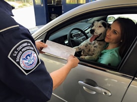 A border protection officer hands a document to a woman sitting in a car. Beside her is a black and white dog with its tongue out, looking friendly. The officer is in uniform, visible through the car window.