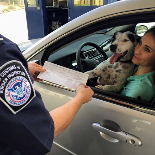 woman in green shirt holding white and black short coated dog