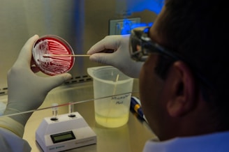 A scientist is handling a petri dish with a red agar medium, using a swab to transfer or culture bacteria in a laboratory setting. The person is wearing gloves for safety and precision. Laboratory equipment is visible, including a container and an electronic instrument in the background.