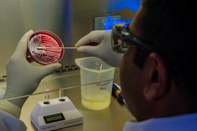 A scientist is handling a petri dish with a red agar medium, using a swab to transfer or culture bacteria in a laboratory setting. The person is wearing gloves for safety and precision. Laboratory equipment is visible, including a container and an electronic instrument in the background.