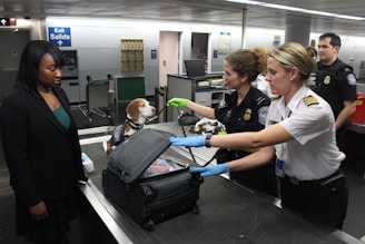 flight tips emotional support animal ESA