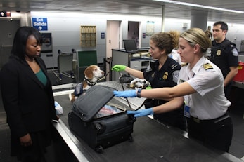 flight tips emotional support animal ESA