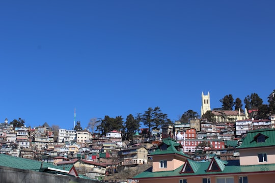 brown and white concrete buildings under blue sky during daytime in Shimla India