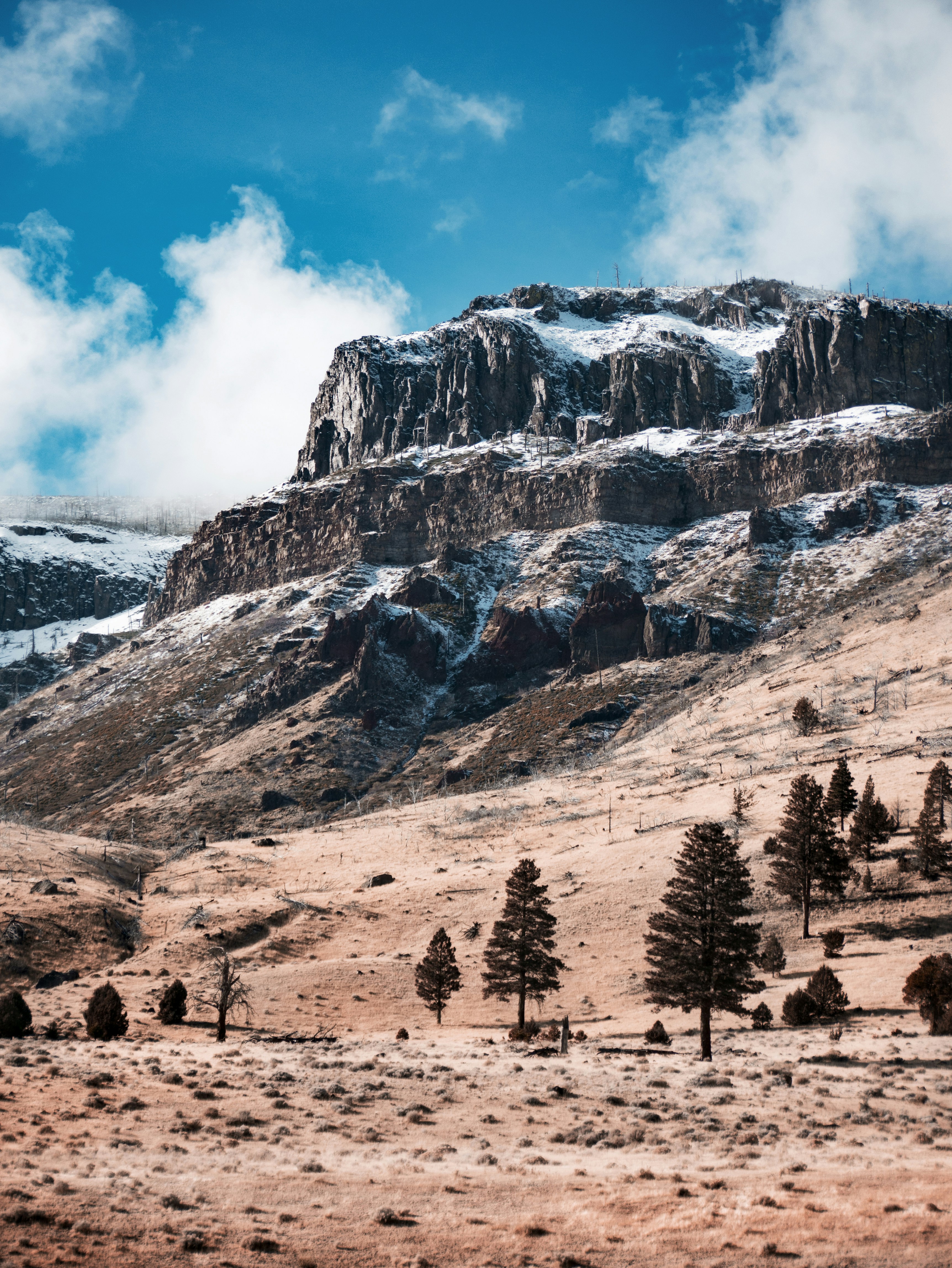 Green trees on brown rocky mountain under white clouds during daytime ...