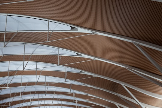 A modern architectural ceiling design with a patterned arrangement of wood and white translucent panels. The structure features curved beams and sleek metal supports, creating a sense of spaciousness and symmetry.