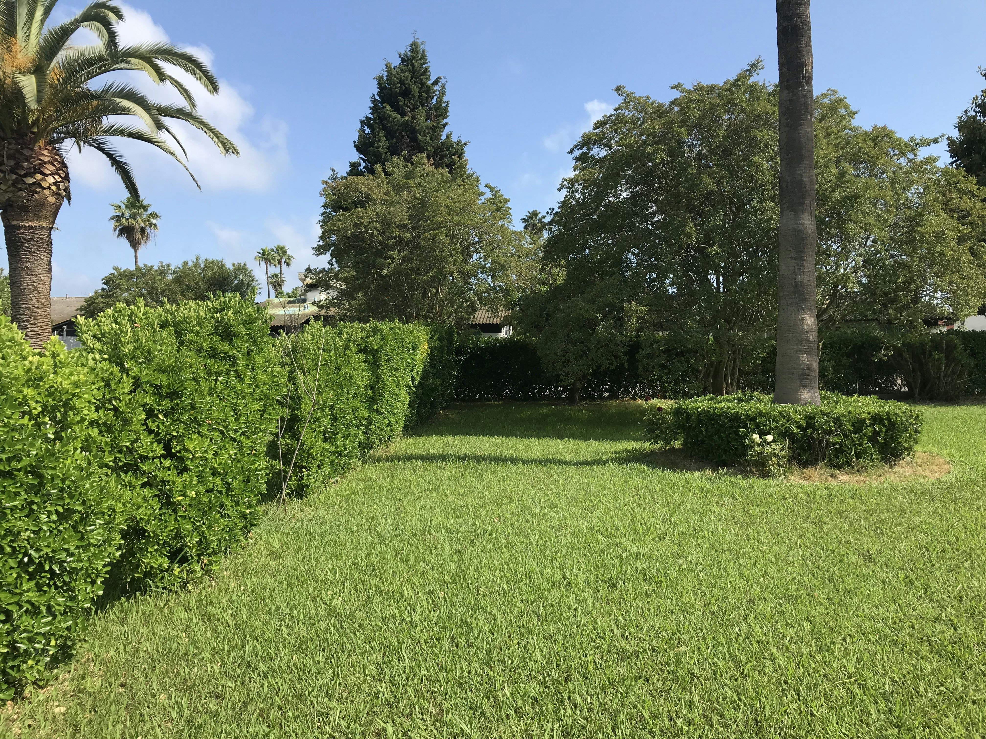 Bright Florida home with sparkling pool, open patio, lush green lawn, sunny blue sky — well-maintained outdoor living space