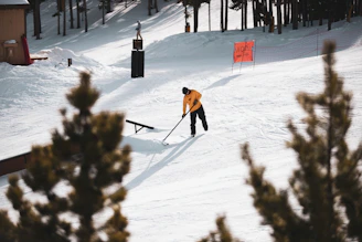 A Pinecrest Guard professional clearing snow from a driveway beside a rustic Whistler cabin.
