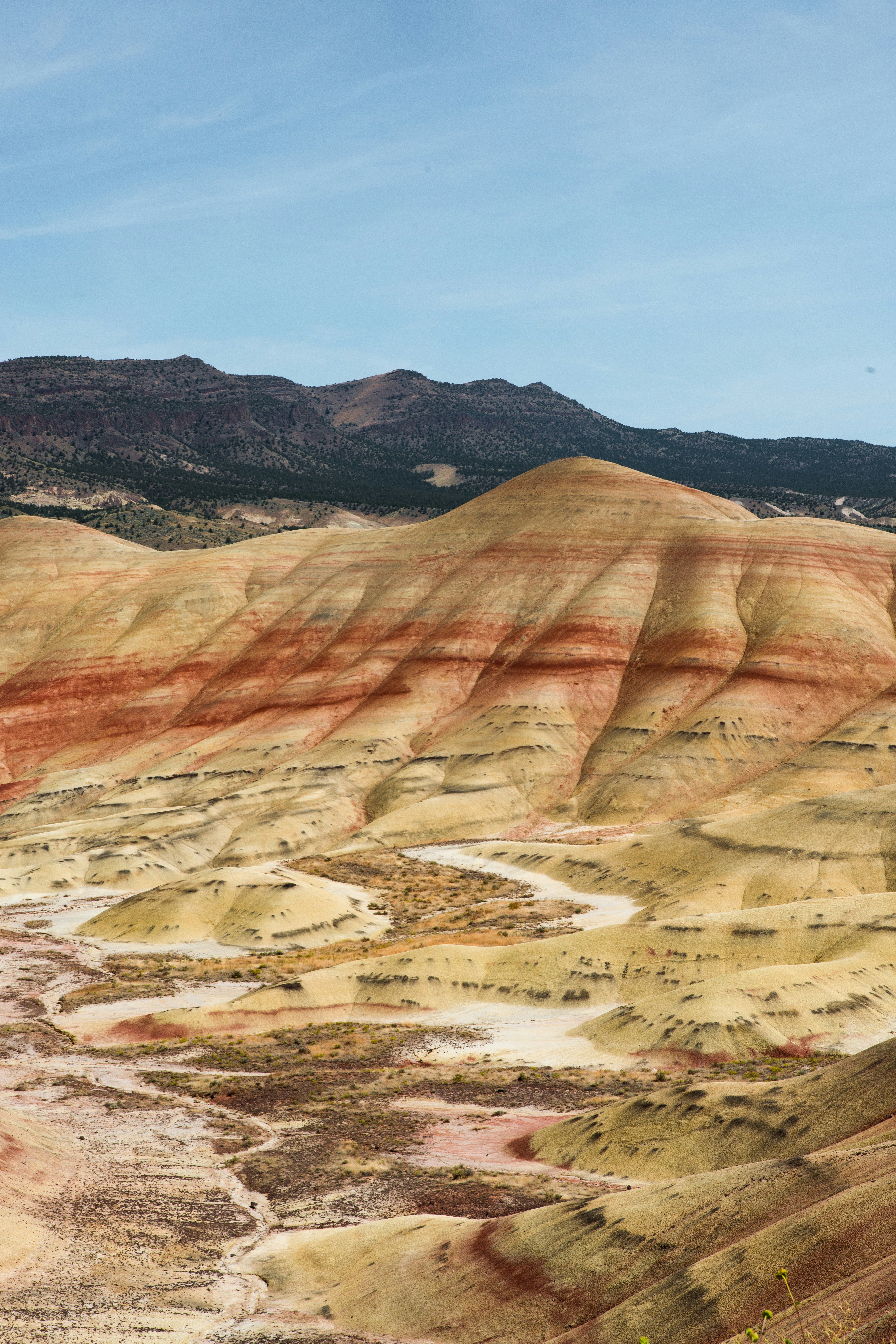 Photo by chamomileboi