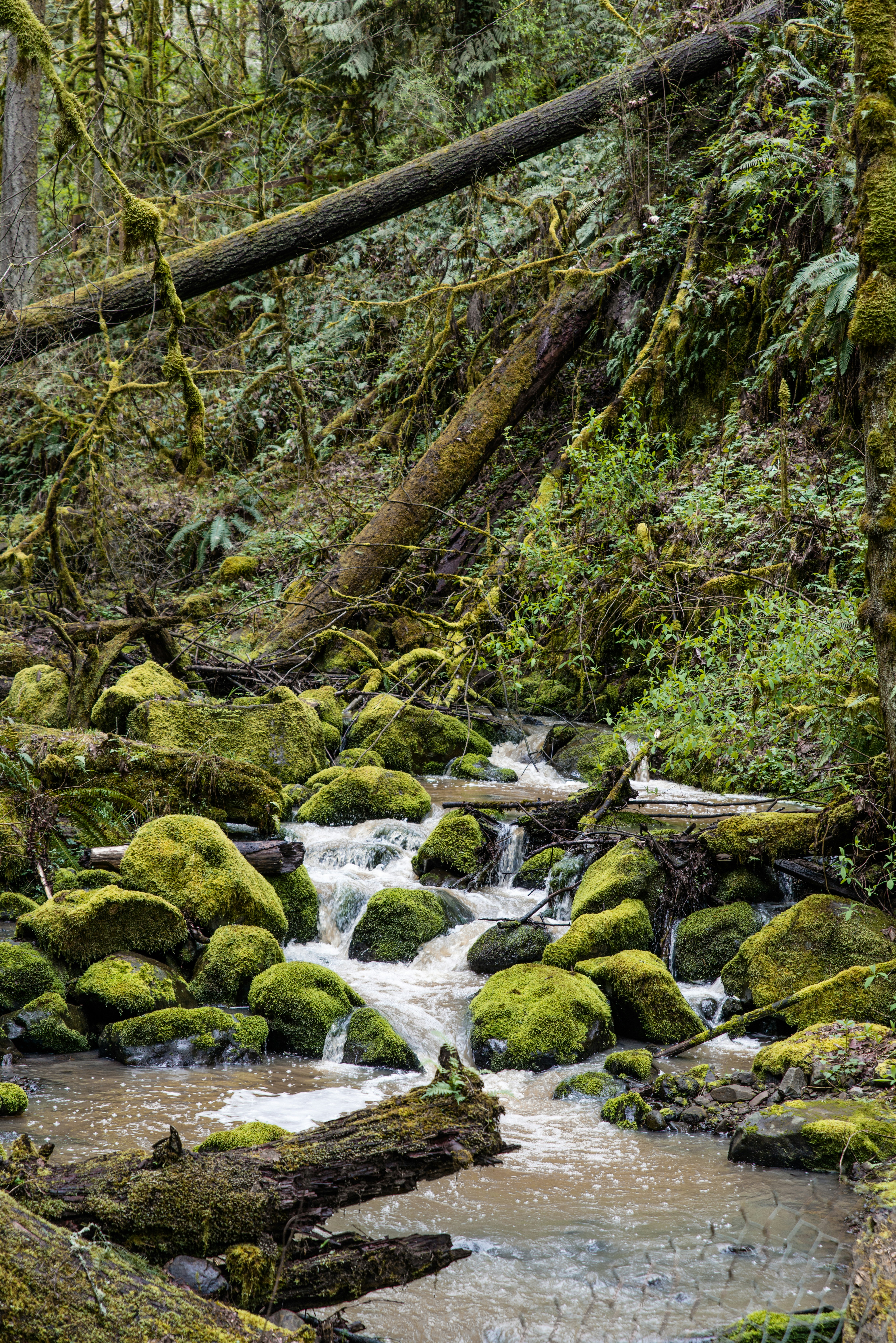 Photo by chamomileboi