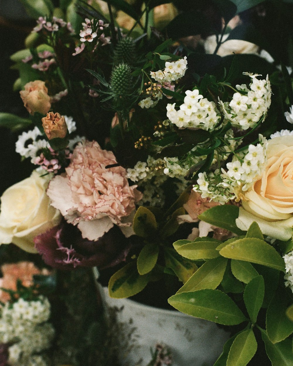 white and pink roses in white ceramic vase