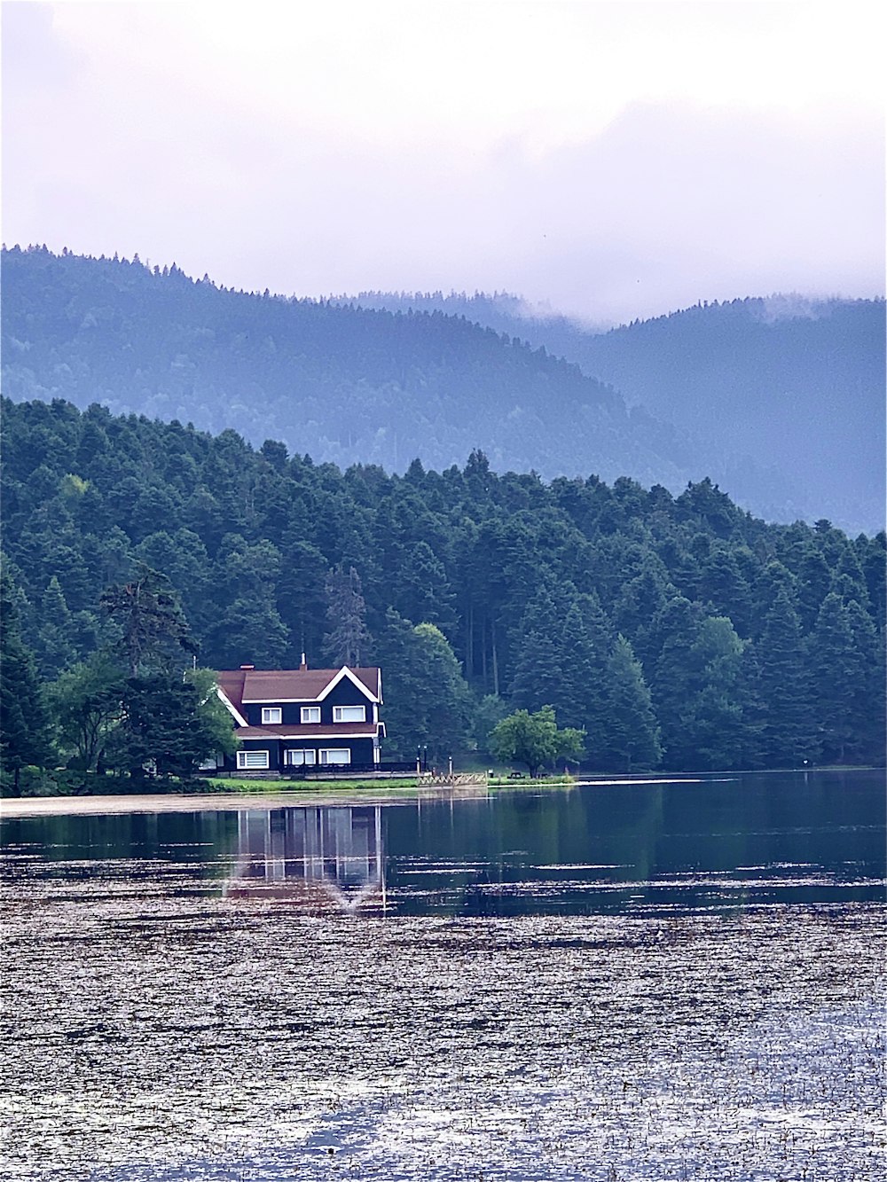 casa de madeira marrom no lago perto de montanhas verdes durante o dia