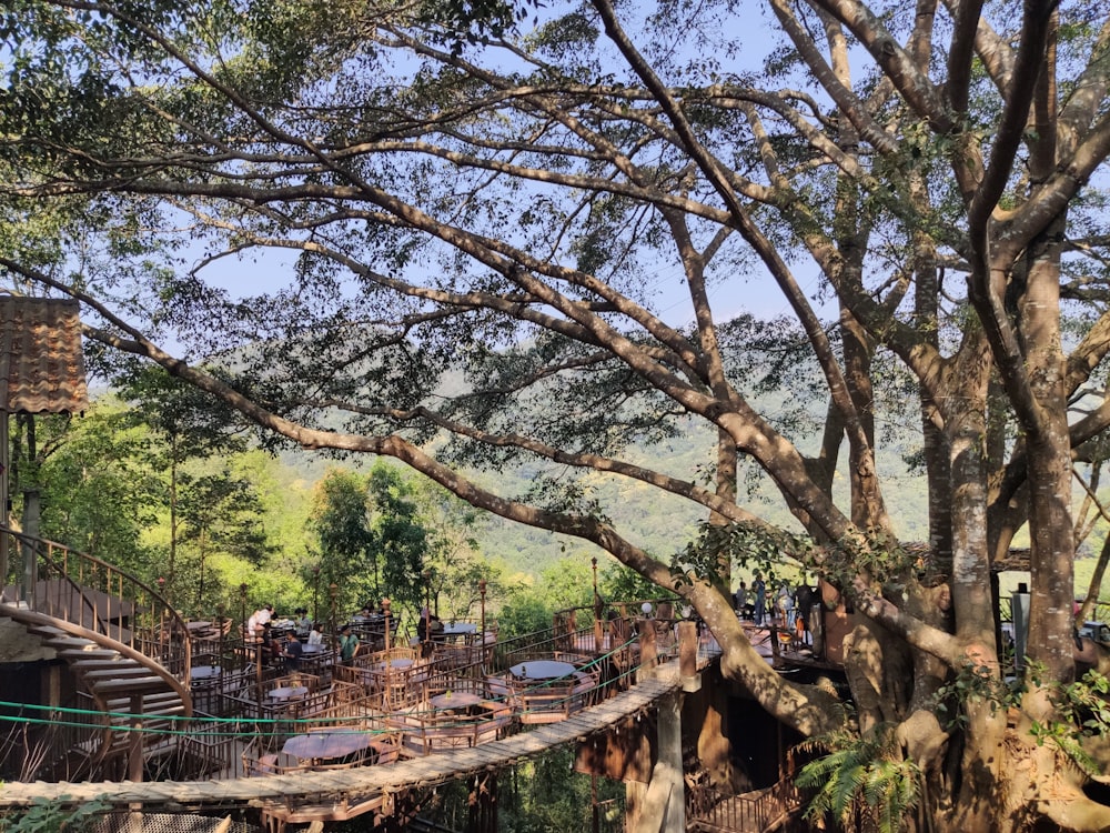 people walking on bridge surrounded by trees during daytime