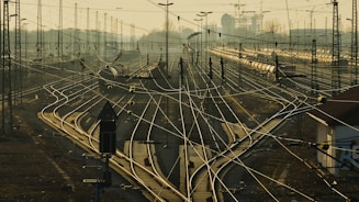 Harriman Alaska Expedition