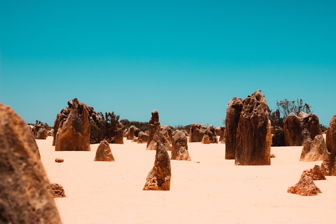 Desert photo spot Nambung WA Australia