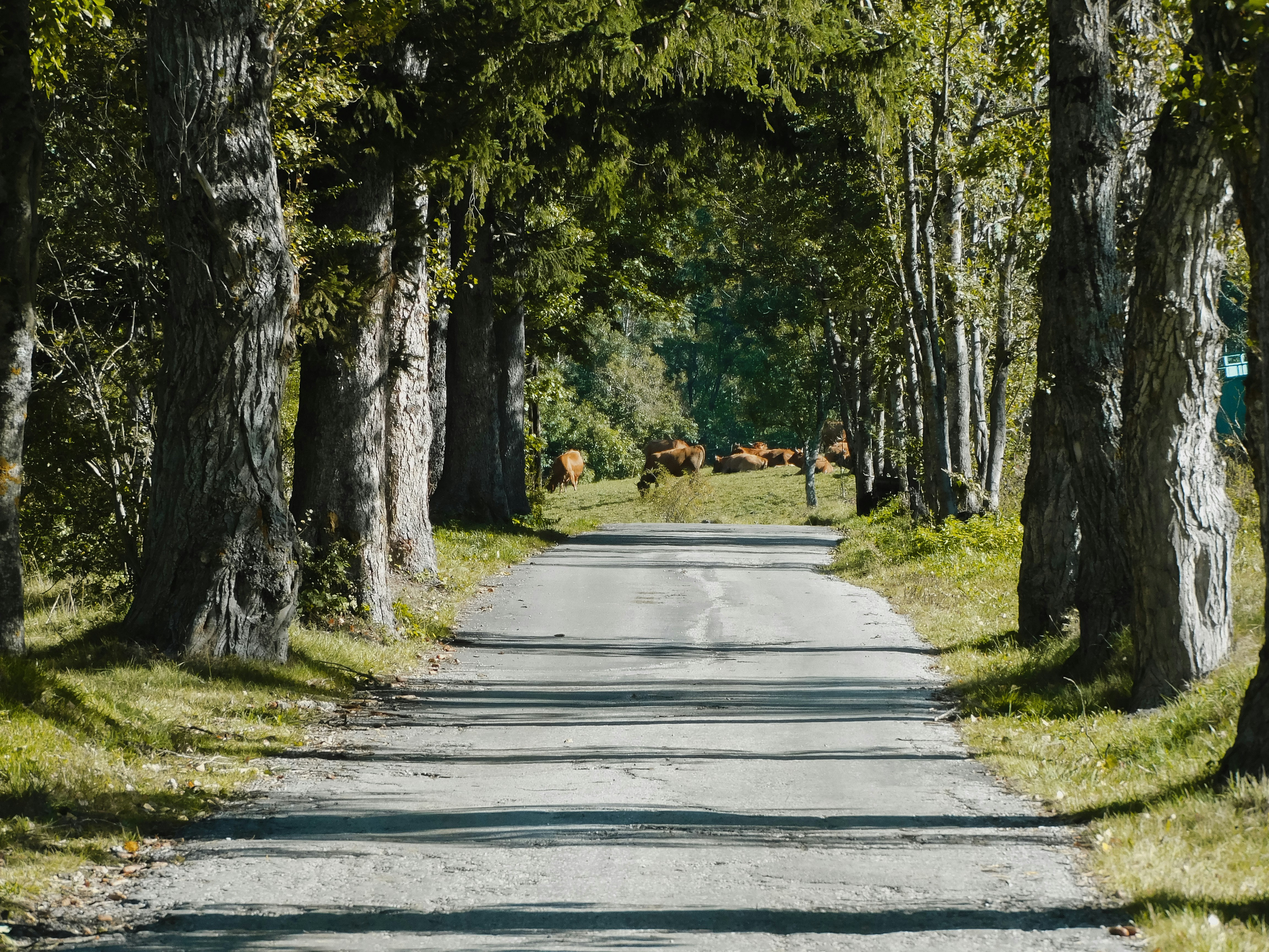 Photo by ecloh_graph