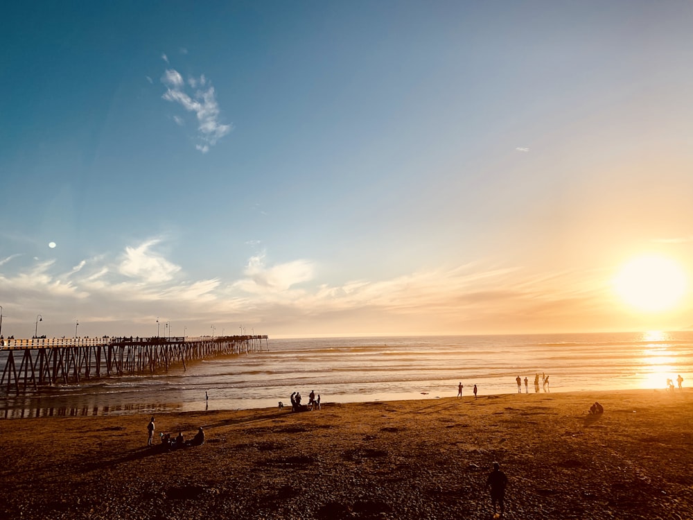 people standing on beach during sunset